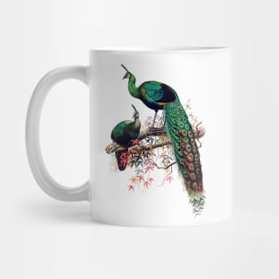 Peacock extravaganza Mug